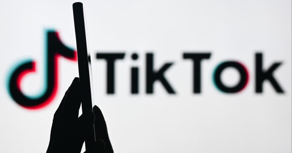 TikTok Sues U.S. Government Over App Ban Threat