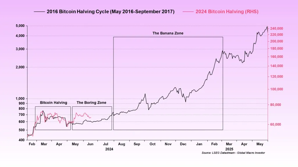 Bitcoin Experiences Downturn 
