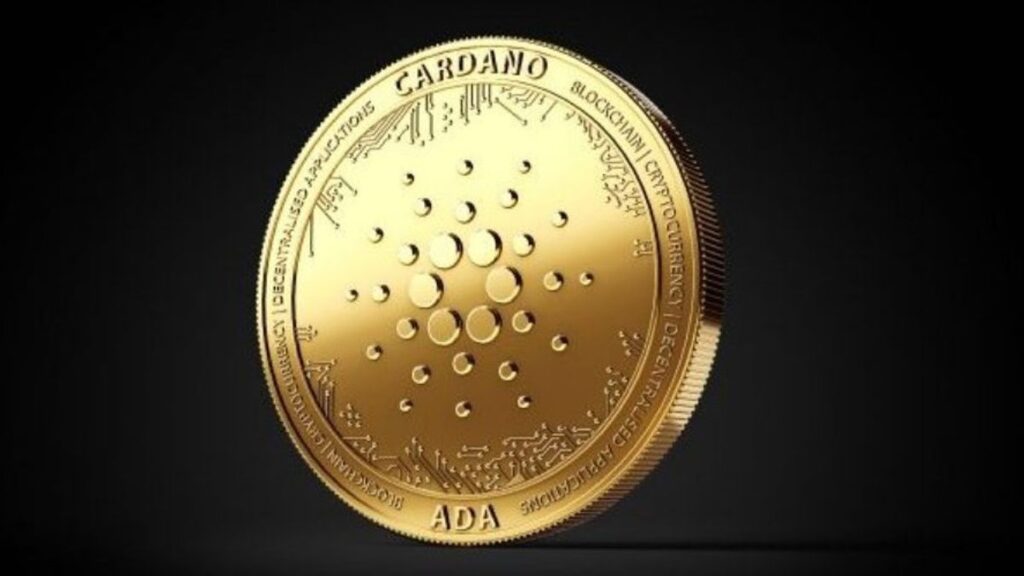 Cardano Investors Warned of Scam Surge by Ambassador