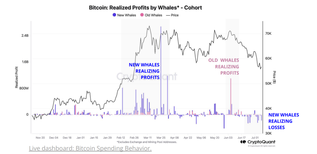 Bitcoin whales' realized profits (screenshot). Source: CryptoQuant