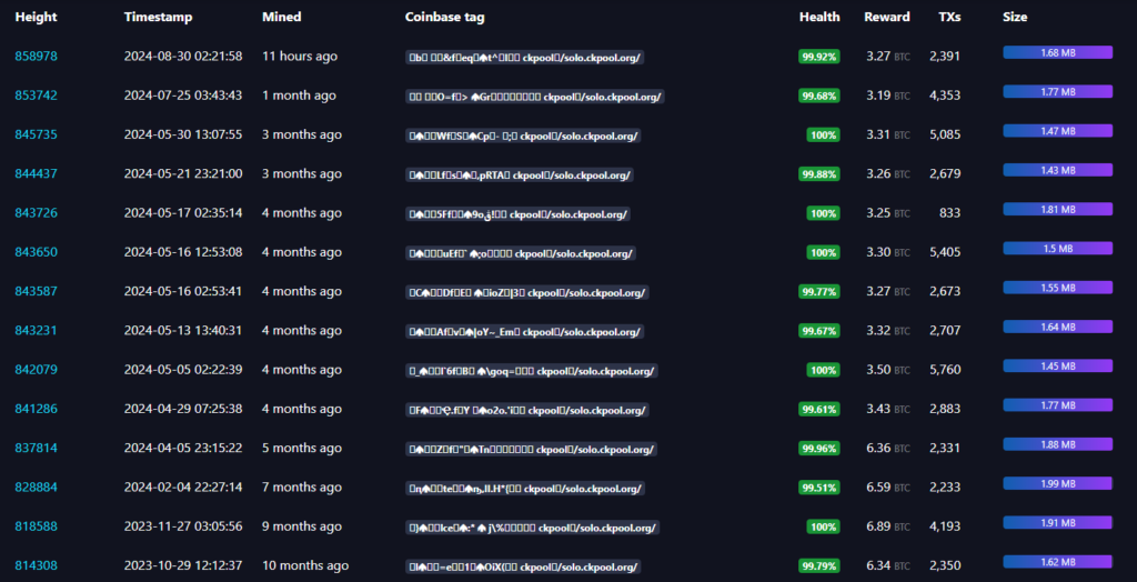 The SoloCK “pool” has earned .5 million in the last year. Source: mempool.space