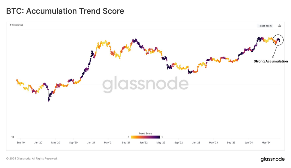 BTC: Accumulation Trend Score. Source: Glassnode