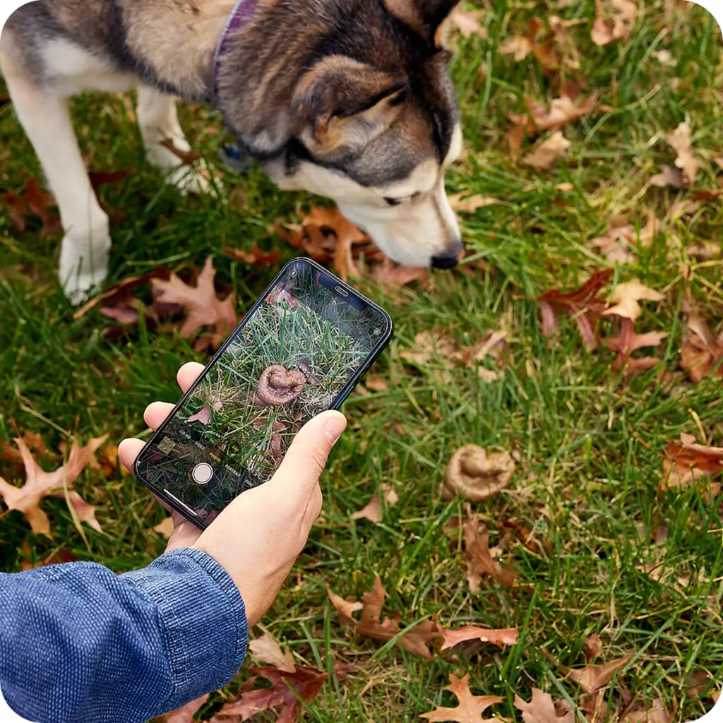 Ollie Buys Health Startup for Poop Analysis Tool