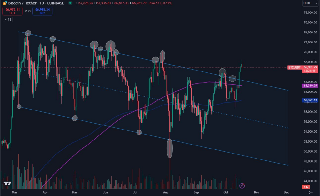 BTC/USDT 1-day chart. Source: Daan Crypto Trades/X