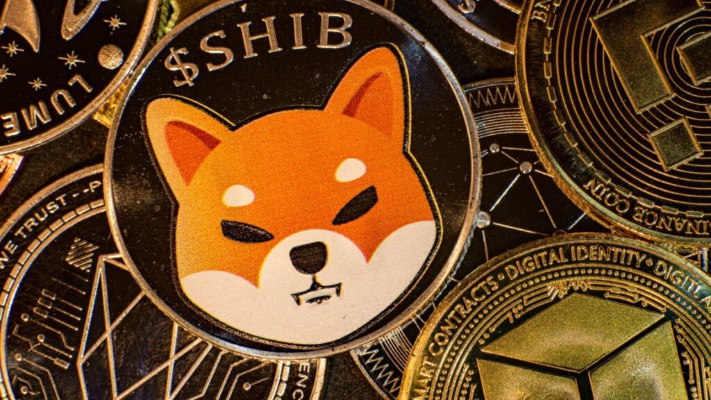 Shiba Inu Whale Boosts Holdings