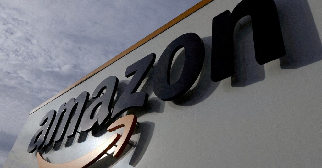 Amazon Scraps Secret Fertility-Tracking Project