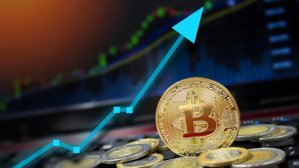 The Road to $100K: What Pumped Bitcoin to Its Highest Price?