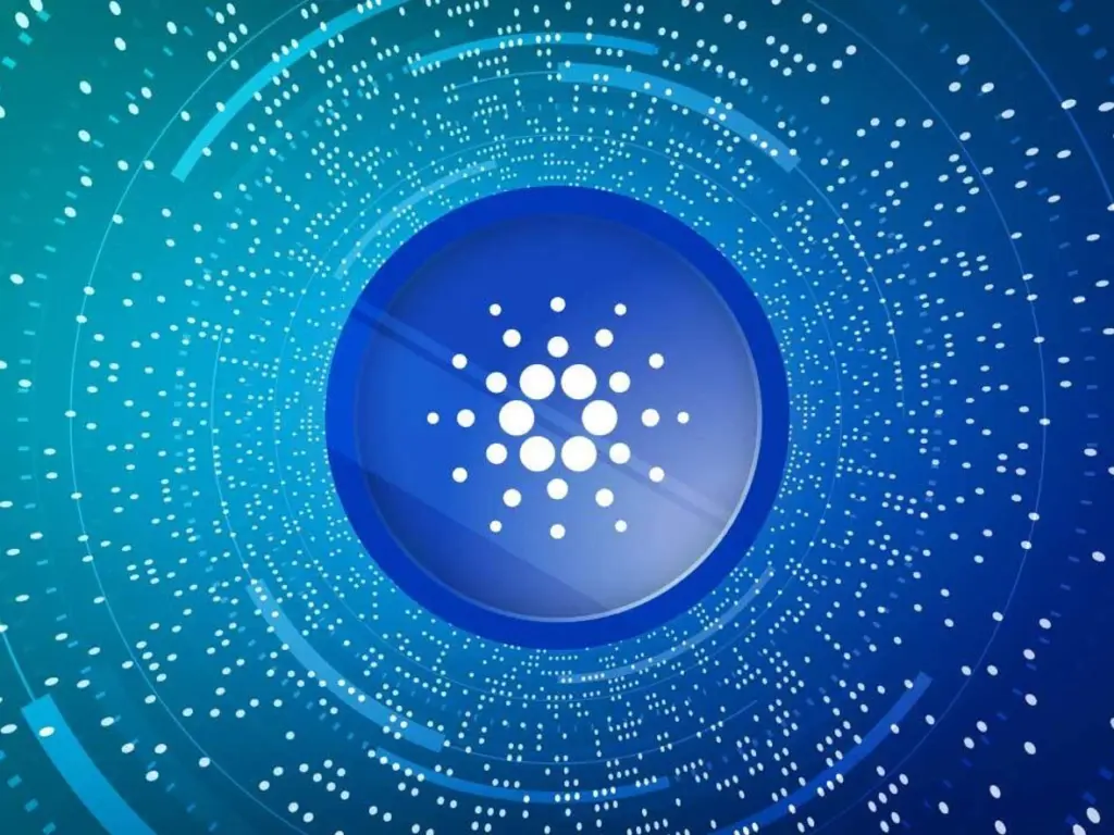 Cardano Foundation Releases First Financial Report