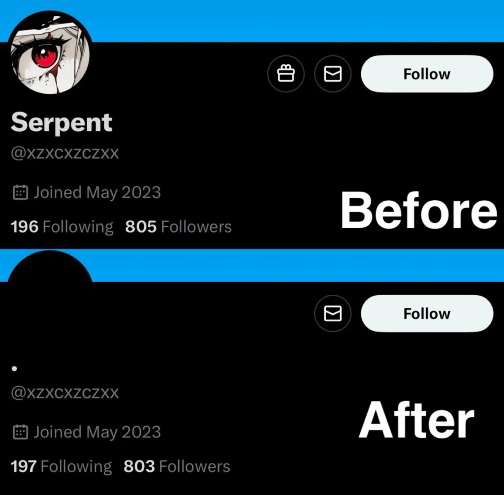 Serpent's X account changes. Source: ZachXBT