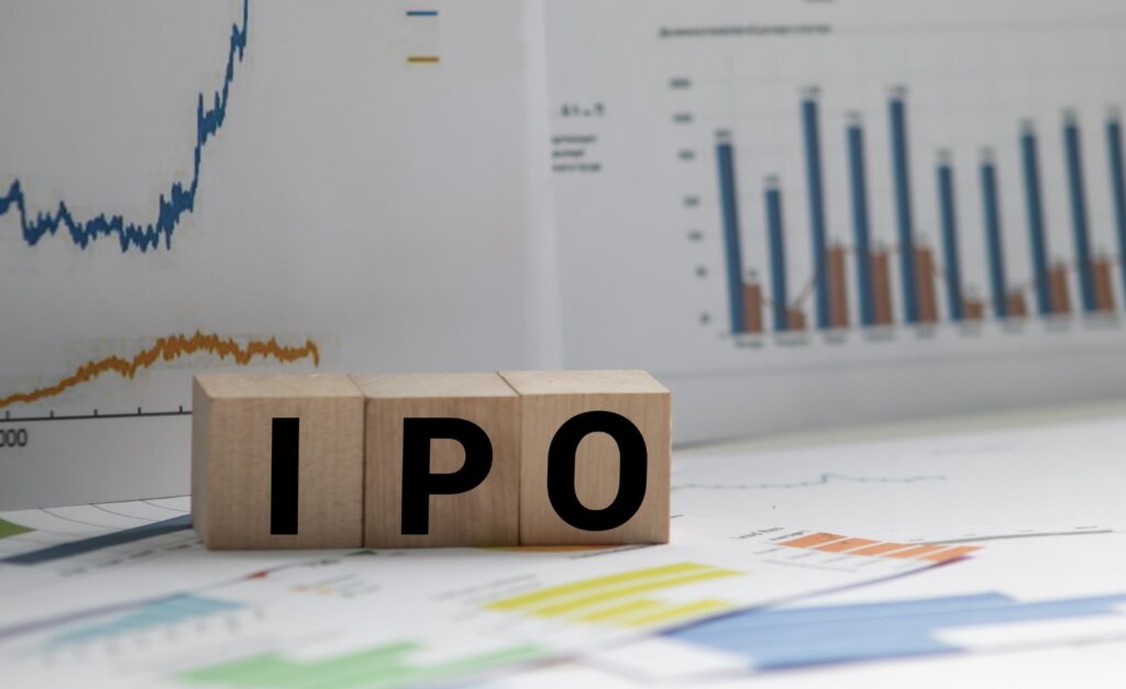 India, an IPO Leader, Braces for Bigger Boom in 2025