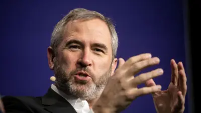 Ripple CEO Brad Garlinghouse Supports Elon Musk’s Criticism of SEC