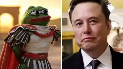 Elon Musk Shares Pepe-Themed Crypto Tax Post