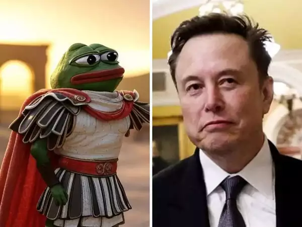 Elon Musk Shares Pepe-Themed Crypto Tax Post