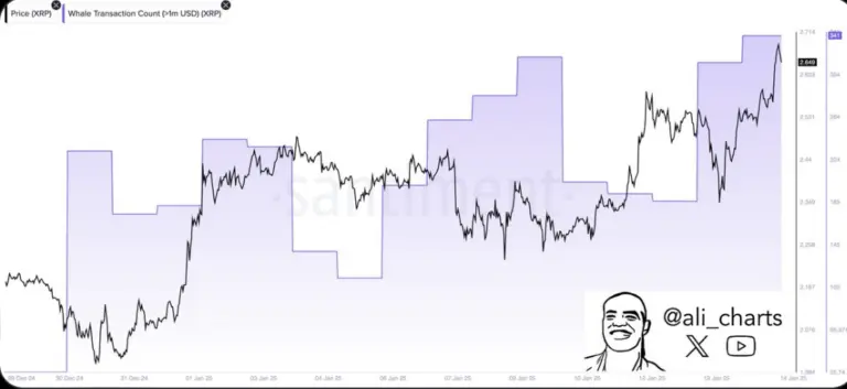 XRP price