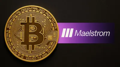 Maelstrom Awards $100K Grant to Bitcoin Privacy Tool Payjoin