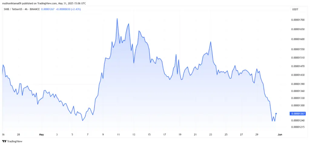 Shiba Inu Price Today