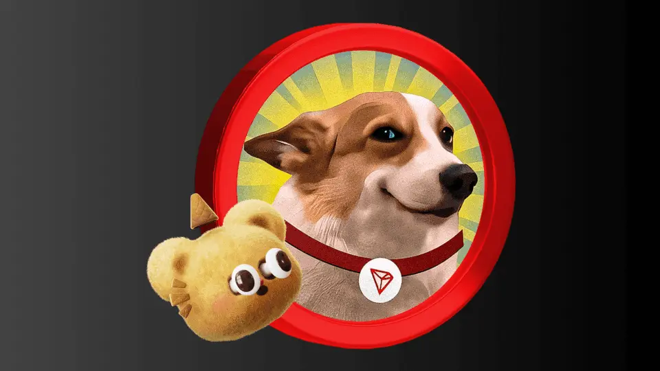 Are Meme Coins Worth the Risk? What You Should Know in 2025