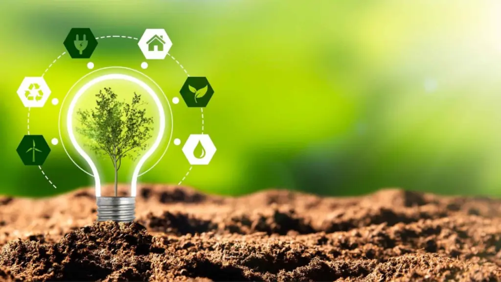What Is Green Blockchain? How Sustainability Is Driving Web3 Innovation