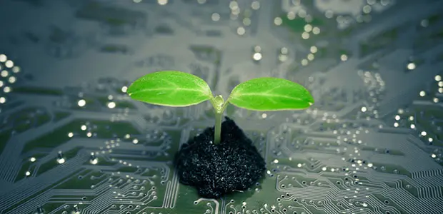 Can Crypto Save the Planet? Exploring the Role of Blockchain in Environmental Funding