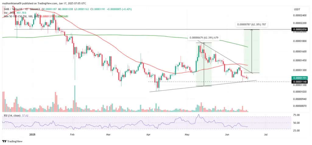 SHIB/USDT: 1-day Chart (Source: TradingView)