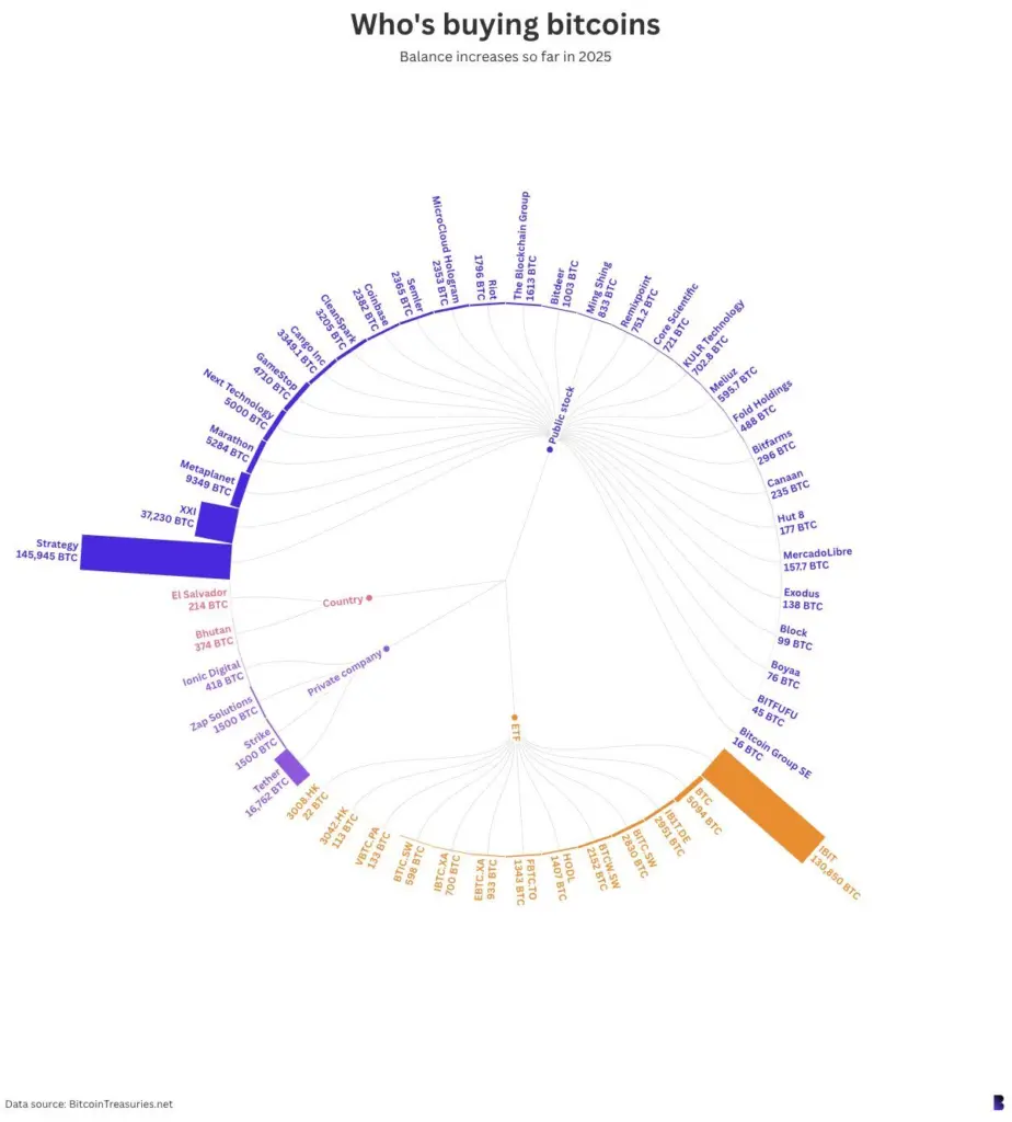 Source: Bitcoin Treasuries.Net