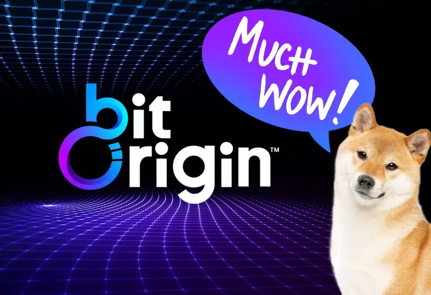 BitOrigin Begins $500M DOGE Buy; Bull Run Eyed