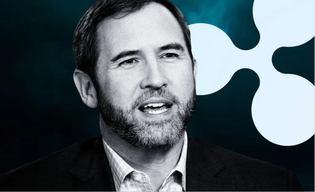 Ripple CEO, Former U.S. Regulators Testify to Senate