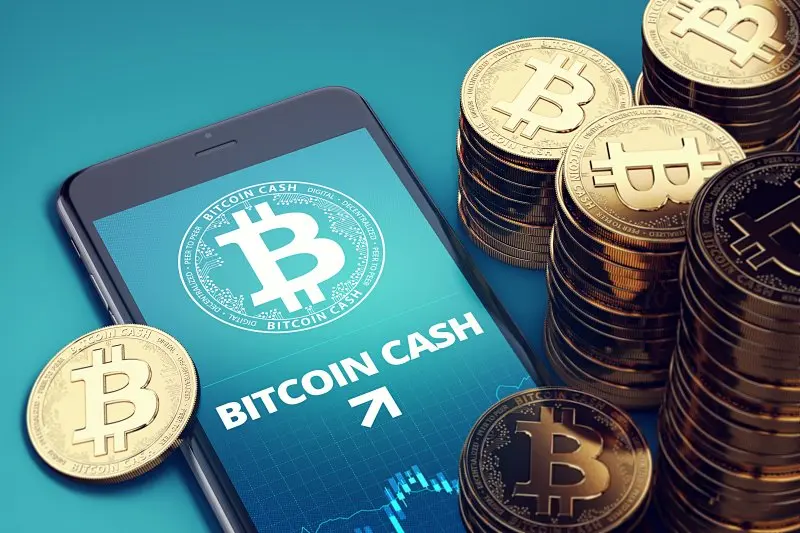 Bitcoin Cash Price Hits 8-Month High
