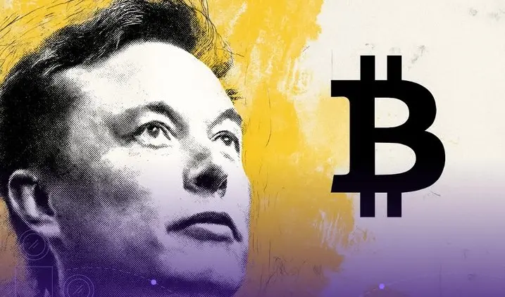 SpaceX Moves $152M in Bitcoin After 3 Years; Musk's Intent Unclear