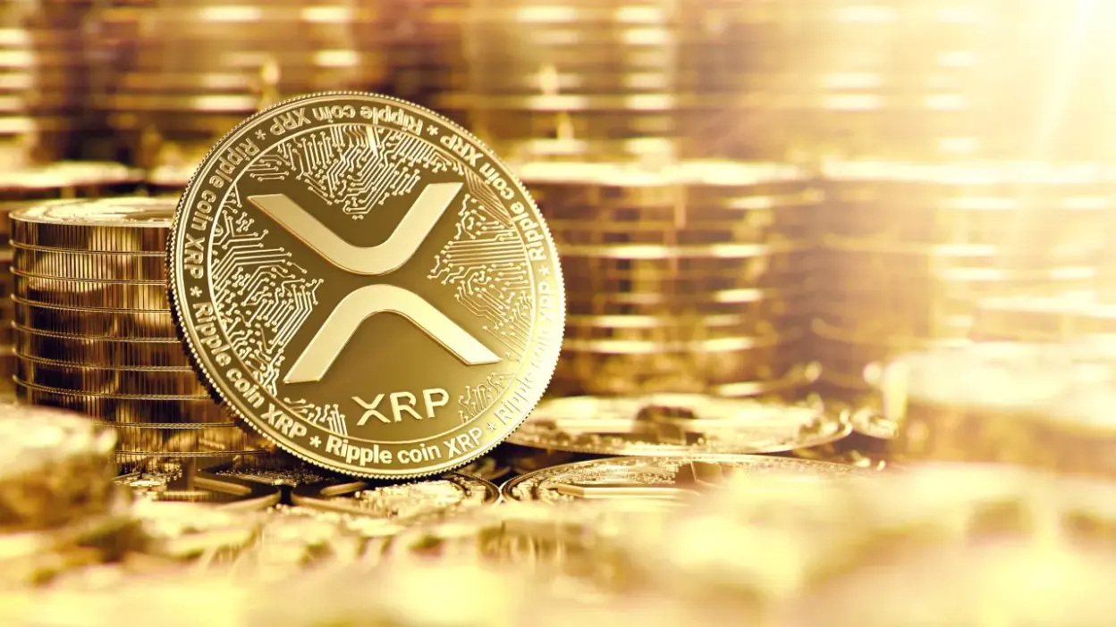 Canary CEO: XRP is Wall Street’s Top Crypto After Bitcoin