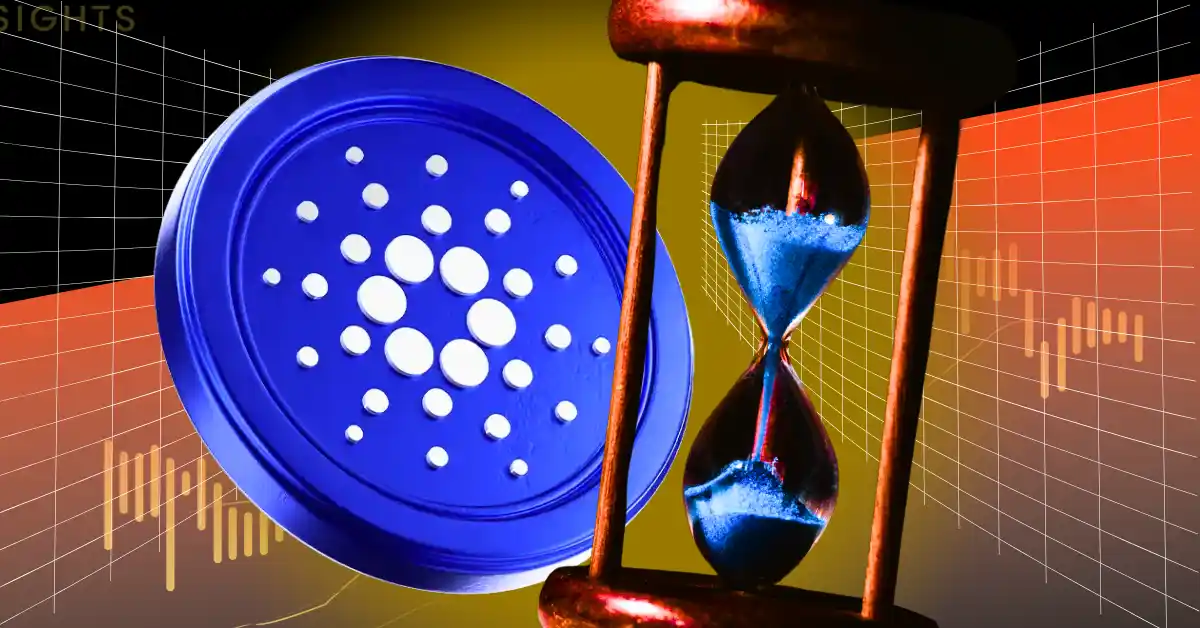 Midnight Airdrop- When It Lands, How To Catch It First