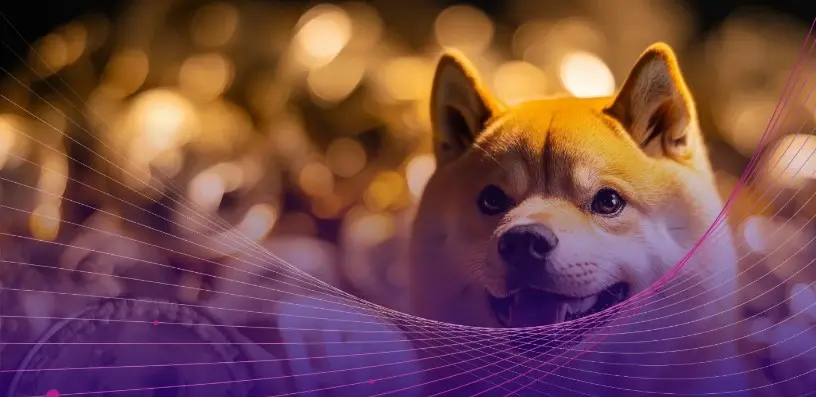 Dogwifhat Dips 3.6%; Whale Inflows Suggest Rebound