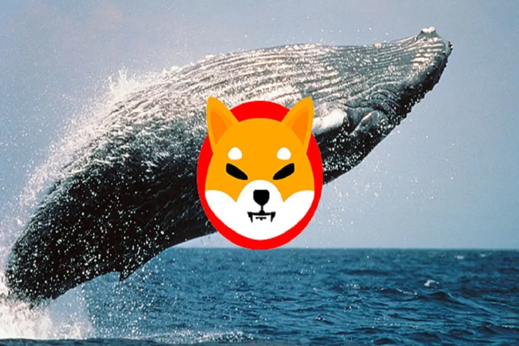 Shiba Inu Price Poised To Rally Amid Whale Outflows