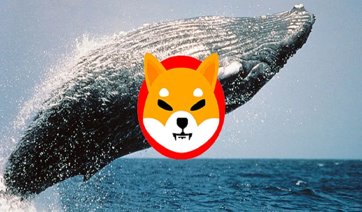 Shiba Inu Price Poised To Rally Amid Whale Outflows