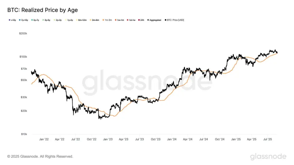 Crypto Market Dips 3-12% Amid Trump-Fed Clash - Protechbro: Top Stories on Bitcoin, Ethereum, Web3, & Blockchain