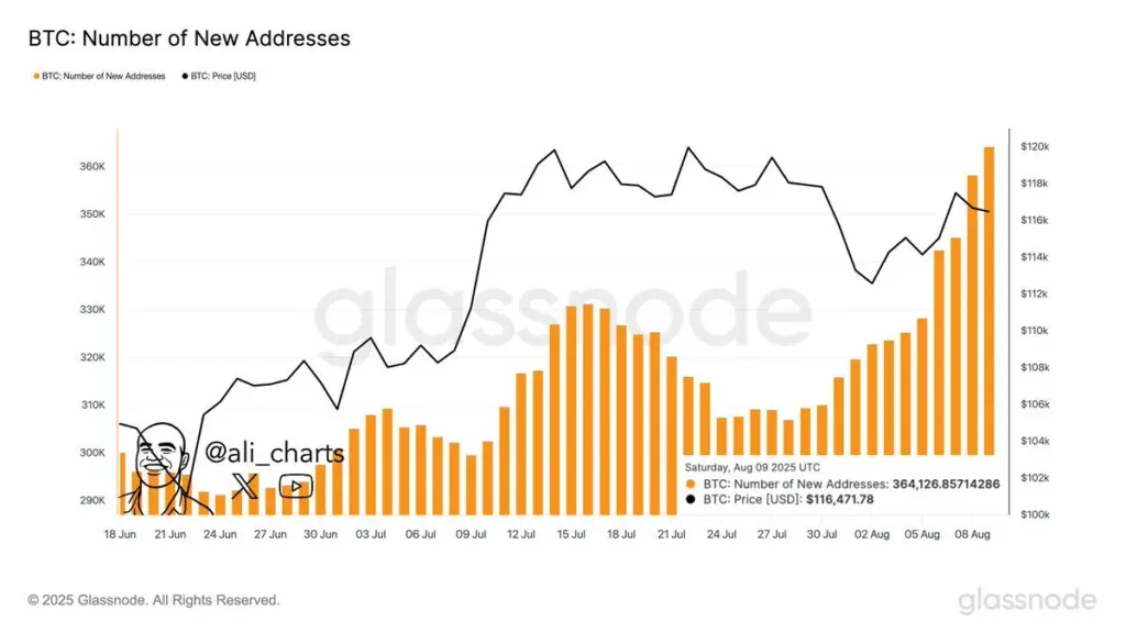 Bitcoin Eyes All-Time High Ahead of US CPI, PPI Data This Week
Source: Ali Martinez