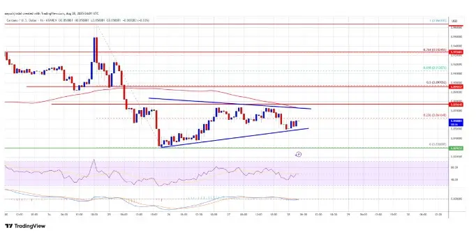 Cardano Consolidates Below Key Resistance - Protechbro: Top Stories on Bitcoin, Ethereum, Web3, & Blockchain