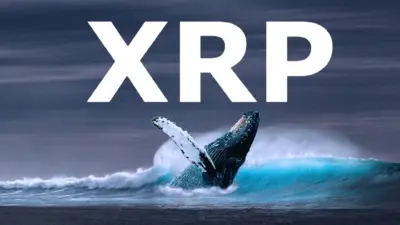 XRP Pennant Breakout Signals $6 Rally On Whale Buys